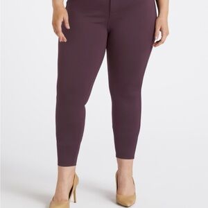 Women's Maroon Pants